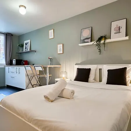 Apartment Equipped In Vieux-lille Near Grand Place *